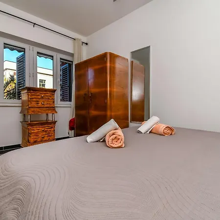 Cicko * トロギール