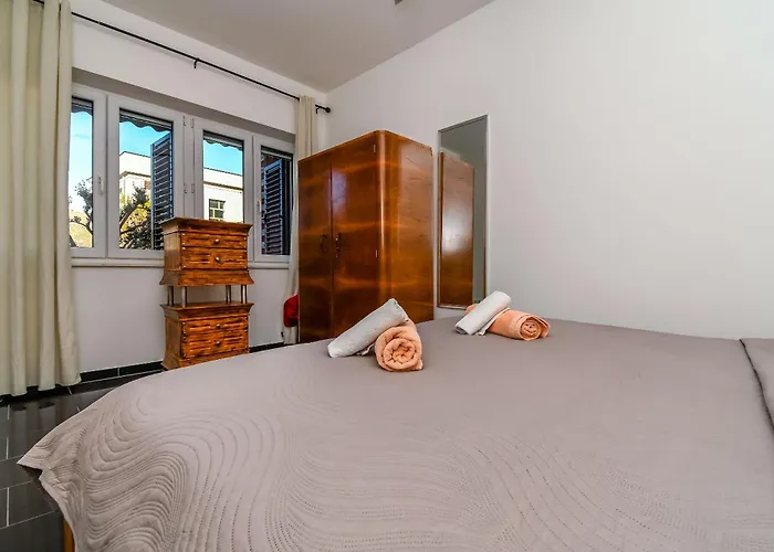 Cicko * トロギール