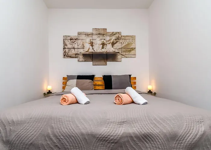 Cicko * トロギール