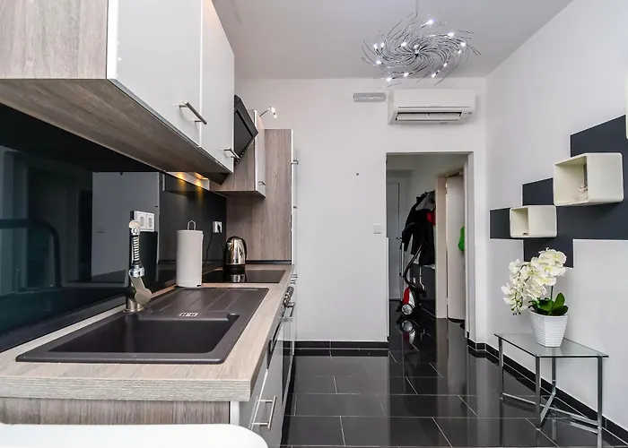 Cicko * トロギール